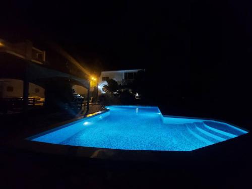 Old Olive Tree Apartment in Celuga