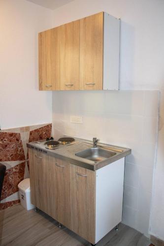 Old Olive Tree Apartment in Celuga