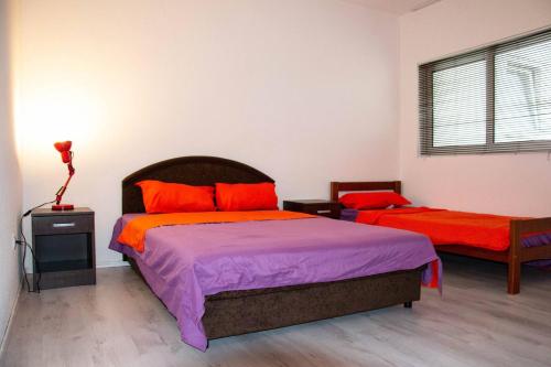 Old Olive Tree Apartment in Celuga