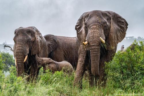Veikla, Agulhas House & Diving in Umkomaas