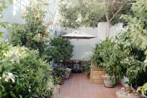 Cape Finest - De Waterkant House - image 13