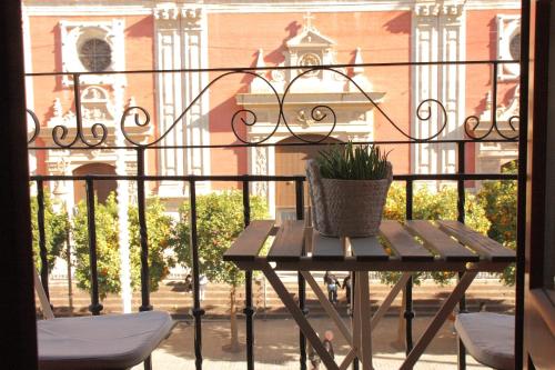 Panther Home Salvador, Sevilla
