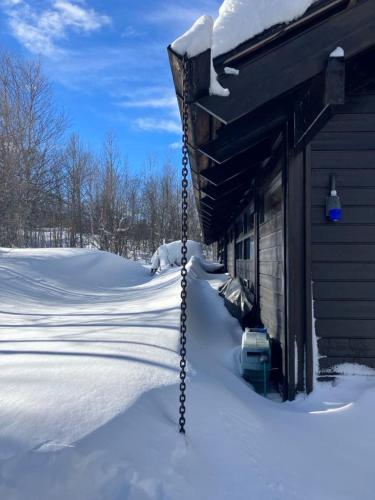 Mediu înconjurător, Ski in ski out in Geilo, comfortable and family friendly cabin in Geilo