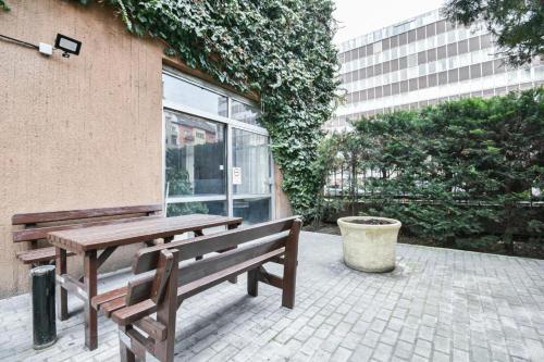 Cozy Comfort w AC on Victor Hugo street by NW - image 12