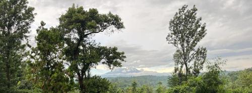 West Kilimantis in Machame