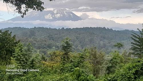 West Kilimantis in Machame