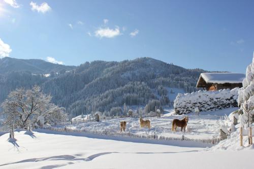 Bergchalet in Wertach, Deutschland