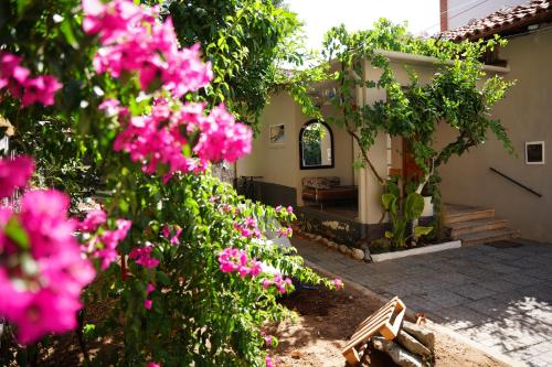 Lemon House, Tirana