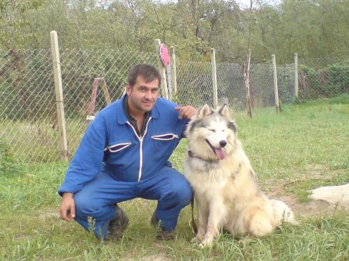 ХОТЕЛ за кучета Киноложки център СТИФ in Radevtsi