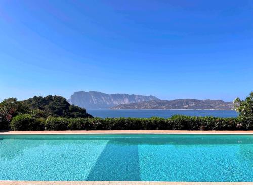المنطقة المحيطة, Monolocale Terrazza Vista Mare in Capo Coda Cavallo