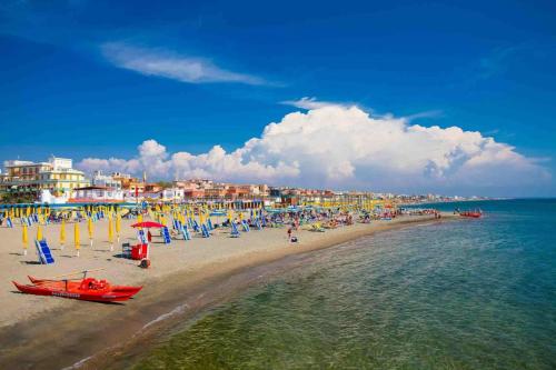Casetta near BBQ dello Sport City