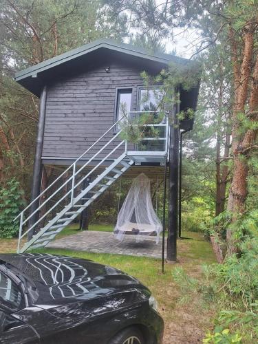 Dom w koronach drzew