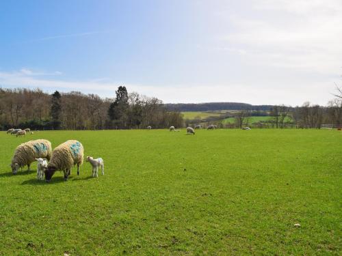 ทัศนียภาพภายนอกโรงแรม, The Warren in วาร์วิคก์ไชร์