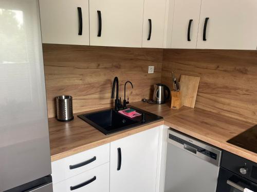 keuken, Apartament Zoya in Zabrze