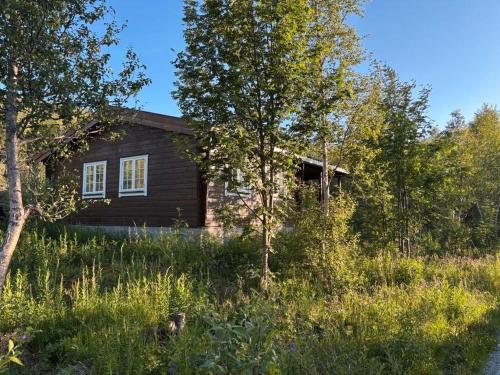 Geilo - Hyggelig og sentral hytte, Hol (Foto 2)