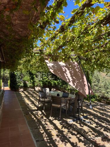 สวน, Il riccio 5 camere vista mare eccezionale in ปอร์โต ซันโต สเตฟาโน