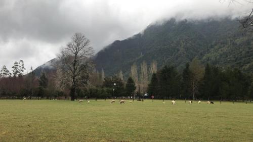 حديقة, Cabaña Arrayan (Cabana Arrayan) in Quetroleufu