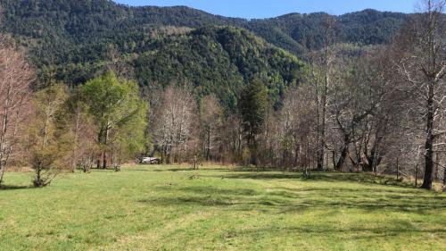 حديقة, Cabaña Arrayan (Cabana Arrayan) in Quetroleufu