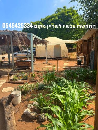 משק רפאל - פרדס חנה in Hadera