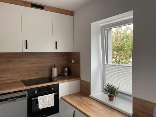 Apartament Zoya