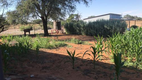 The Cabin at DBP in Kalkrand