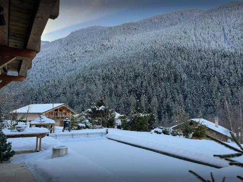 Surrounding environment, Chalet Wonderland - OVO Network in Seez
