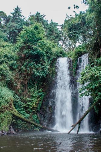 กีฬาและกิจกรรมสันทนาการ, Avocado Kilimanjaro Homes in มารังกู