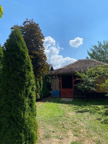 Stella on the Drina in Mali Zvornik