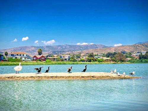 Cerca de lugares turísticos, Casa familiar cerca de la playa in Zapallar