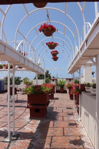 Hotels Image