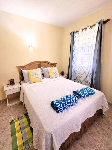 OB Apt 4, Christ Church (foto 6)