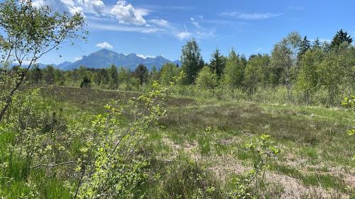 FeWoLo - Chiemgau Karte in Übersee, Deutschland