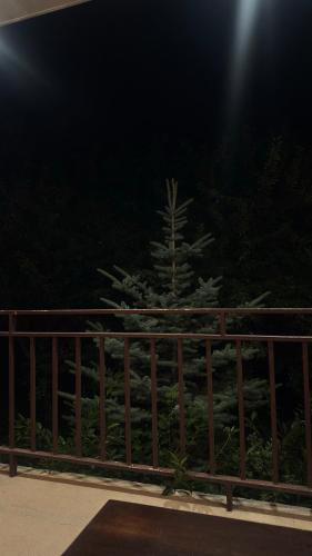 Гостевой дом в Антаруте, Tekher (foto 2)