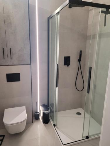 Apartament 12