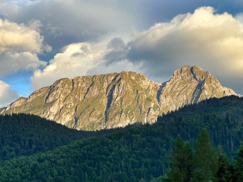 Apartament Turkusowy - Viva pod Giewontem Apartamenty, Zakopane (photo 5)