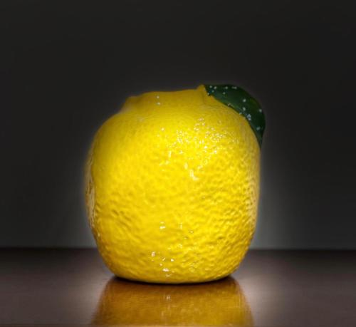Eternal Lemon Home, Rome (photo 10)