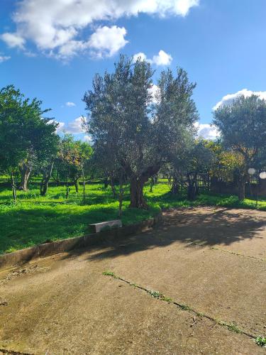 สภาพแวดล้อมโดยรอบ, Holiday Calabria Rooms in ลาเมเซีย แตร์เม