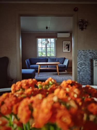 Shared lounge/TV area, 2 Houses & A Barn Double Room in Leknes