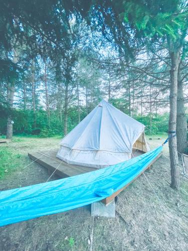 Camping Ekologiczny Koziołeczek