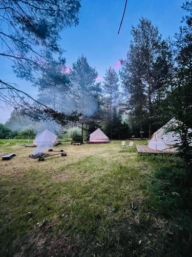 Camping Ekologiczny Koziołeczek