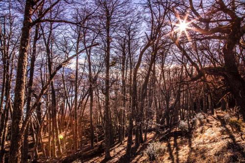 Alrededores, Hostel Patagonia Backpackers in Puerto Natales