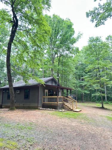 Peaceful, cozy cabin in the woods, Murphy
