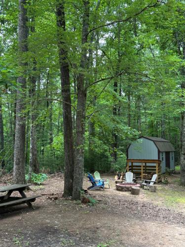 Peaceful, cozy cabin in the woods, Murphy (fotografie 5)
