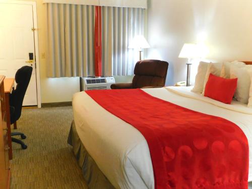 1 king bed