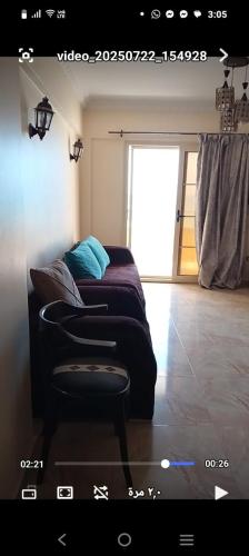 One-Bedroom Apartment image 10