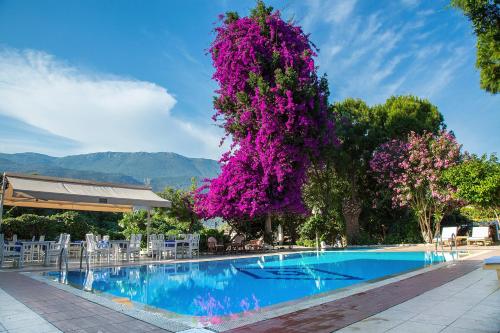  Club Antiphellos in Kaş