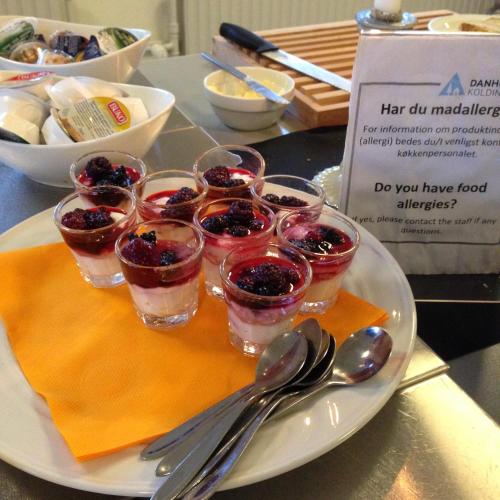 Danhostel Kolding - image 11