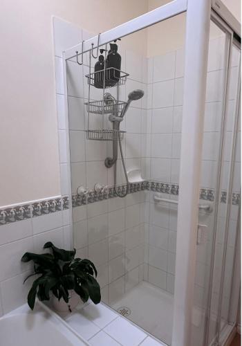 دش, Spacious Balwyn Villa in great location in Balwyn