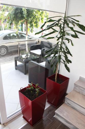 Hotel Aulona – Saranda, OR