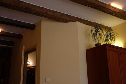 Academus - Pub, Rooms, Cider, Vratislav (fotografie 7)